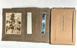 南洋群島熱帯植物写真集