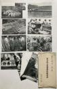 東京府立農芸学校絵葉書