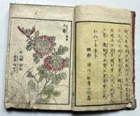 画本早真名美　2編　草之部