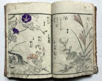 画本早真名美　2編　草之部