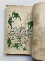 大正７年度　東京朝顔研究会会報