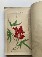 大正７年度　東京朝顔研究会会報