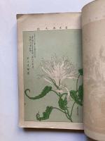 大正７年度　東京朝顔研究会会報