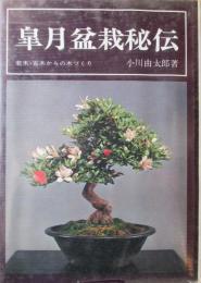 皐月盆栽秘伝　若木・古木からの