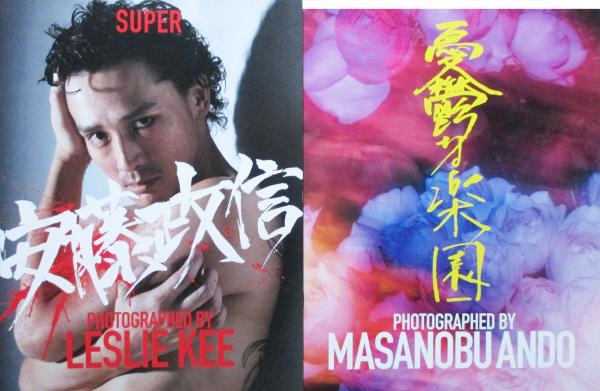 憂鬱な楽園 SUPER MASANOBU ANDO 憂鬱な楽園(レスリー・キー) / 古本、中古本、古