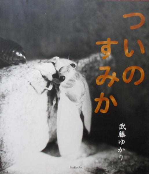 皐月盆栽秘伝 若木・古木からの(小川由太郎) / キヨ書店 / 古本