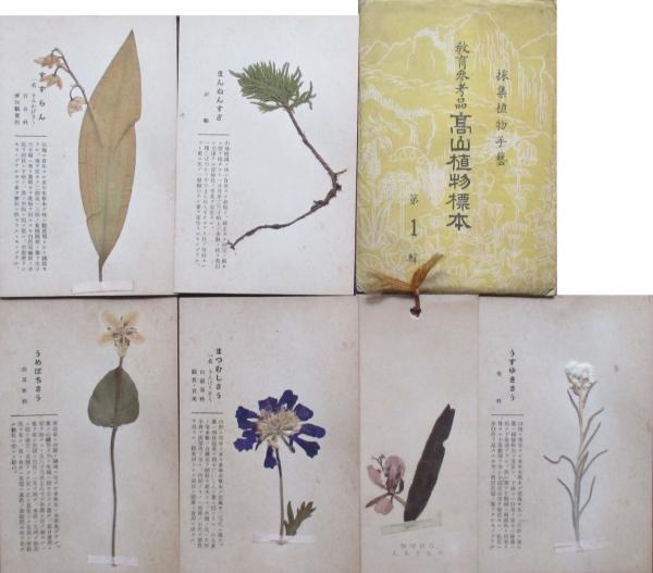 教育参考品 高山植物標本 第1輯 / 古本、中古本、古書籍の通販は「日本