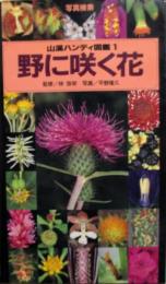 写真検索山渓ハンディ図鑑1　野に咲く花