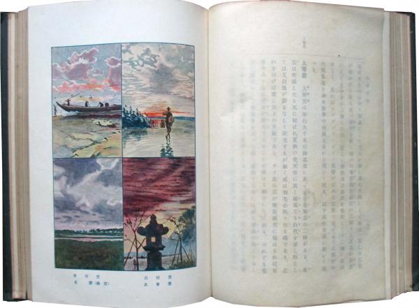 皐月盆栽秘伝 若木・古木からの(小川由太郎) / キヨ書店 / 古本