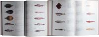 カラー　遠洋漁場の底魚類　第1、2集