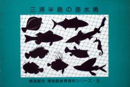 三浦半島の海水魚