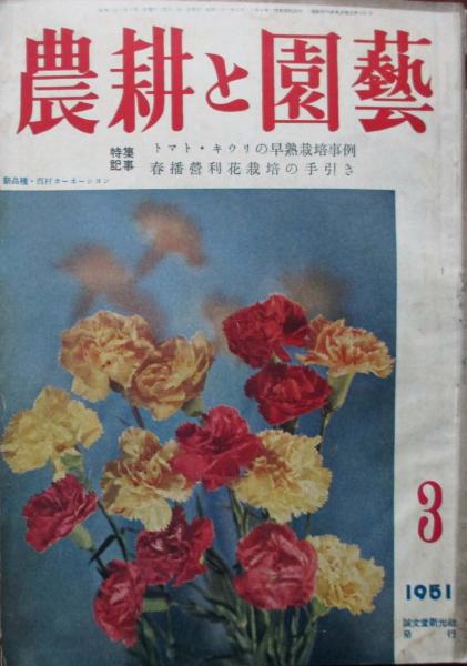 浄土宗法要集(江藤澂英編) / キヨ書店 / 古本、中古本、古書籍の