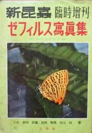 新昆虫　臨時増刊　ゼフィルス写真集　第9巻第8号