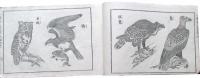 小学普通画学本　甲之部第11