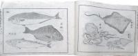 小学普通画学本　甲之部第10