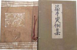 染色工程標本　染色実例集