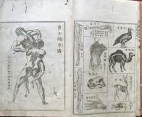 全體新論訳解　并図式添　巻1