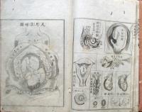 全體新論訳解　并図式添　巻1