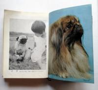 愛玩犬の飼い方