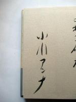 自選詩集　晩夏光幻視