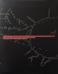 芸術の社会性 ヨーゼフ・ボイスからの投影