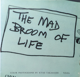 THE MAD BROOM OF LIFE