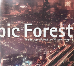 エントロピーの森