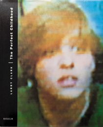 The Perfect Childhood