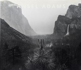 ANSEL ADAMS IN THE LANE COLLECTION