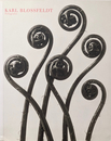 KARL BLOSSFFELDT Fotografie