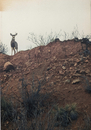 Buck Shots