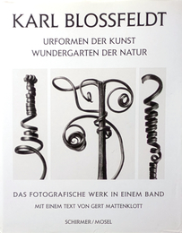 KARL BLOSSFELDT URFORMEN DER KUNST WUNDERGARTEN DER NATUR