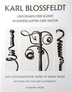 KARL BLOSSFELDT URFORMEN DER KUNST WUNDERGARTEN DER NATUR