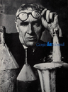 モランディ展 1989-90 [Giorgio Morandi]