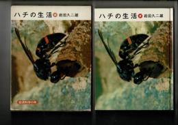 ハチの生活