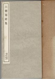 金文集