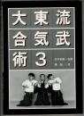 大東流合気武術