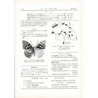 佳香蝶 No.226 2006年6月