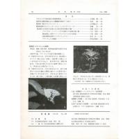 佳香蝶 No.196 1998年12月