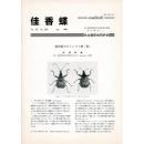 佳香蝶 No.188 1996年12月