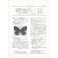 佳香蝶 No.183 1995年9月