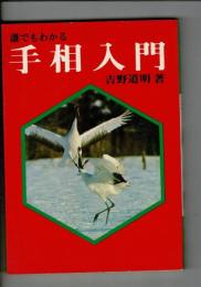 誰でもわかる 手相入門