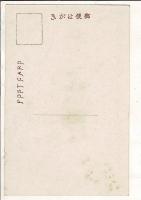 （レトロ絵葉書）官幣中社梅宮神社3枚 「またげ石」「東門及神饌書 楼門」「神苑」