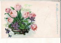 美術絵葉書　少女倶楽部昭和8年9月号付録　美しい盛花 チユリツプ、スミレ、アスパラガス （絵葉書）