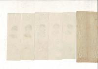 愛国百人一首 栞5枚