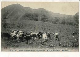 （レトロ絵葉書）上州名勝 赤城山沼尻牧場 