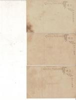 （レトロ絵葉書）奈良3枚 「大正五年四月行幸 正倉院」「大正五年四月行啓 奈良女子高等師範学校」「行在所（奈良倶楽部）」