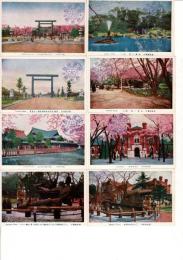 （レトロ絵葉書）靖国神社神苑 絵葉書10枚袋付き 靖国神社遊就館スタンプ