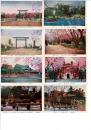 （レトロ絵葉書）靖国神社神苑 絵葉書10枚袋付き 靖国神社遊就館スタンプ
