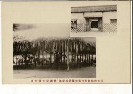 （レトロ絵葉書）三重県松阪町役場新築落成記念 旧庁舎と藤の花